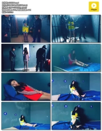 胜景影视 女魔头的末日 第二集 女魔头2号刘莉落网