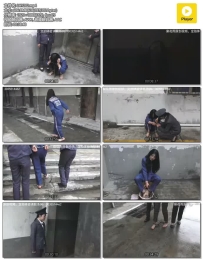 梨花雨 梦魇