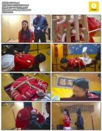 阶下囚公主 无须有投敌叛国罪名被抄家躲藏的公主